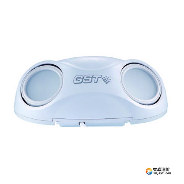 四川海灣HW-ZFJC-E3W-N660/E6W-N661集中電源集中控制型消防應(yīng)急照明燈具