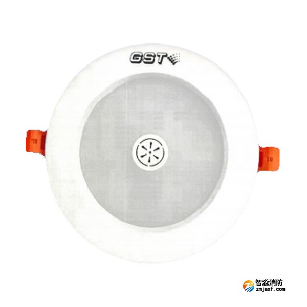 四川海灣HW-ZFJC-E9W-N652SG集中電源集中控制型消防應(yīng)急照明燈具