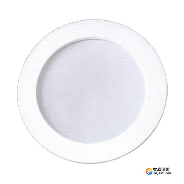 四川海灣SJ-ZFJC-E5W/ZQ5C集中電源集中控制型消防應(yīng)急照明燈具 吸頂/壁掛